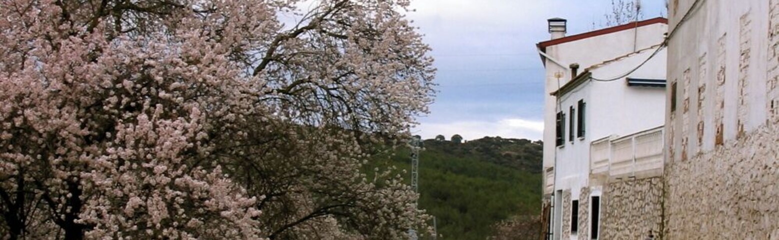 Almendros