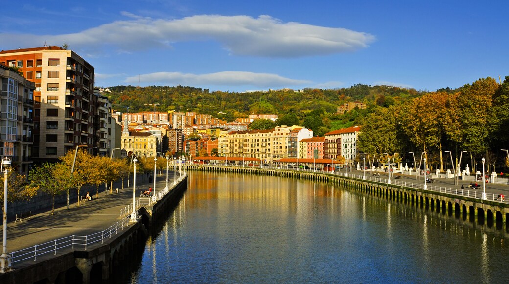 Estuario di Bilbao