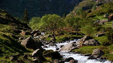 Lumière matinale. Pla Soulcem (1570) dans les Pyrénées Ariègeoises.