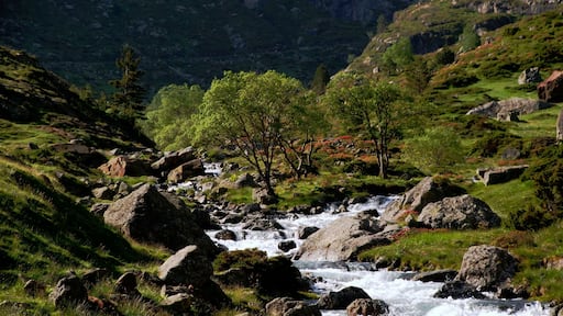 Lumière matinale. Pla Soulcem (1570) dans les Pyrénées Ariègeoises.