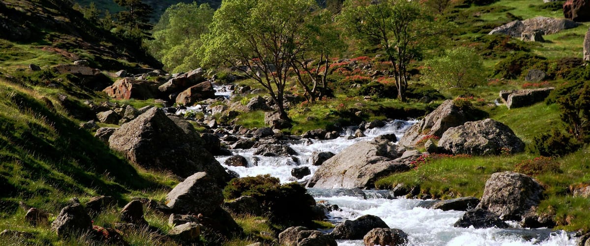 A mountainous landscape with a flowing river, rocky terrain, and green vegetation.
