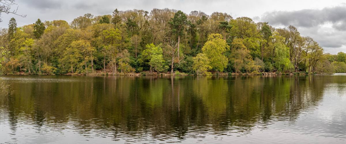 A calm lake surrounded by dense forest with a cloudy sky.