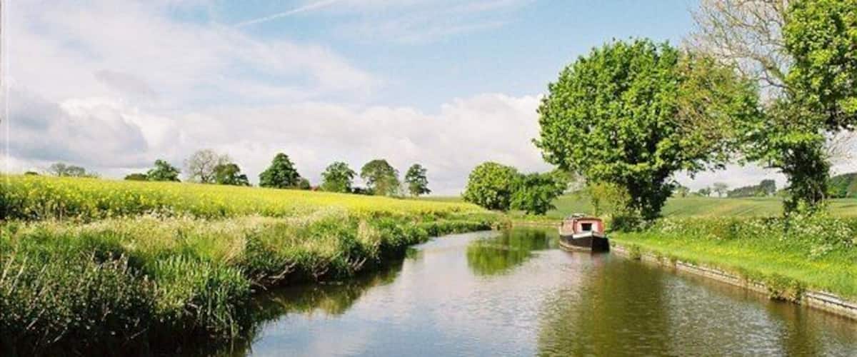 Llangollen Canal. Looking SE between Coachman's and Clay Pit bridges with rapeseed in bloom
