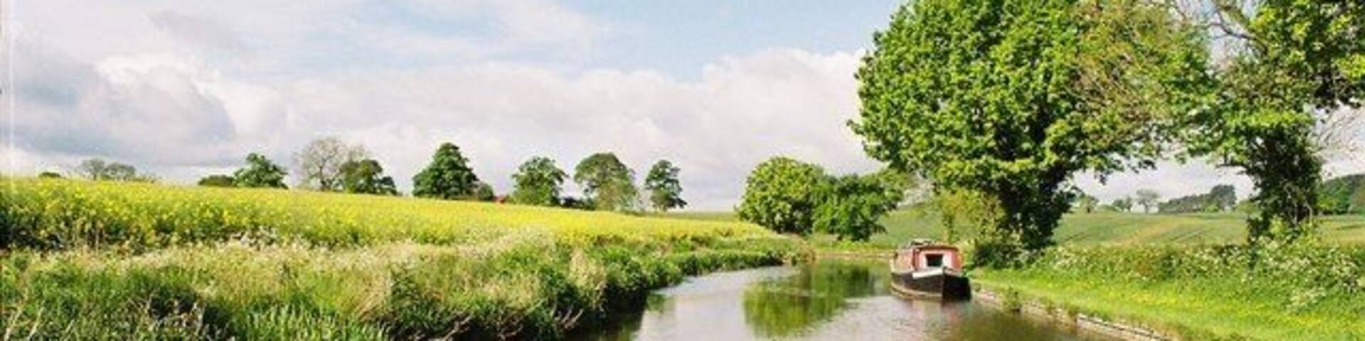 Llangollen Canal. Looking SE between Coachman's and Clay Pit bridges with rapeseed in bloom