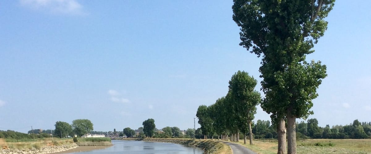 A rural road alongside a calm river, with trees lining the path and a clear sky above.