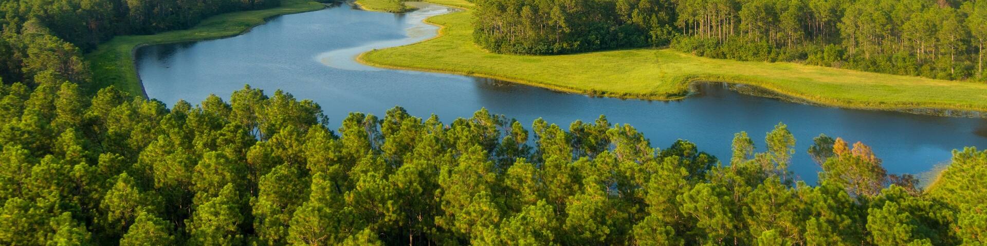 Aerial view of a pond near Bamahenge in Elberta, Alabama
