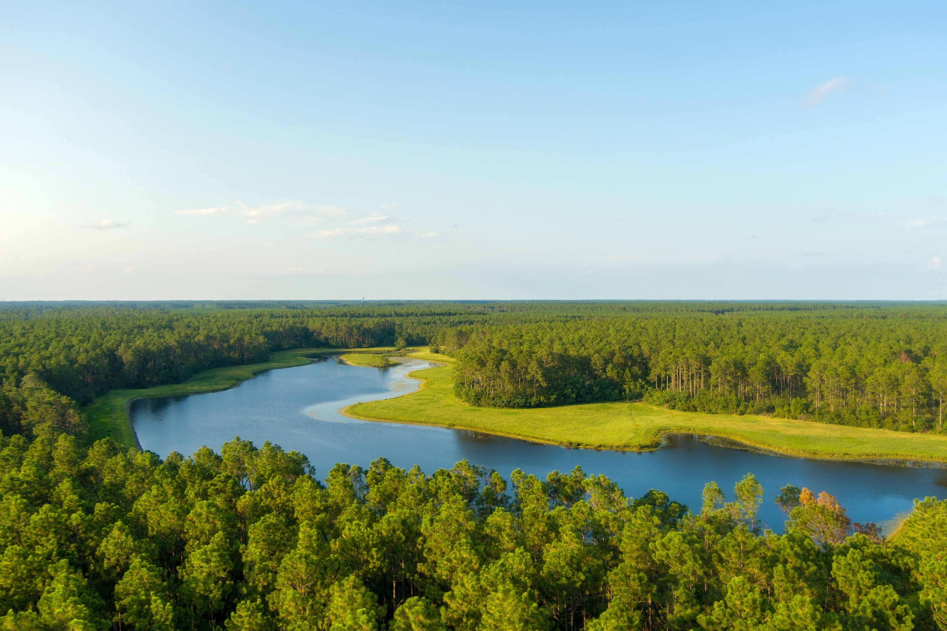 A river winding through a dense forest with a clear sky.