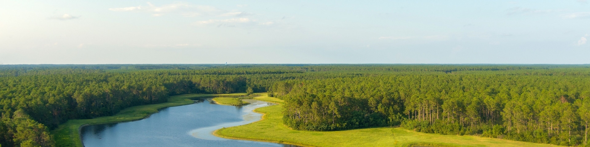 A river winding through a dense forest with a clear sky.