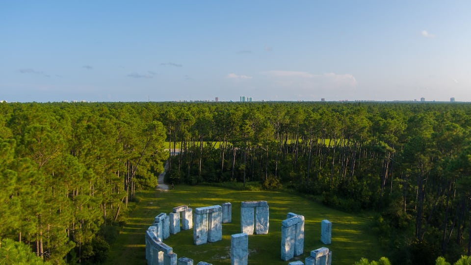 A stone circle surrounded by dense forest and a clear sky.