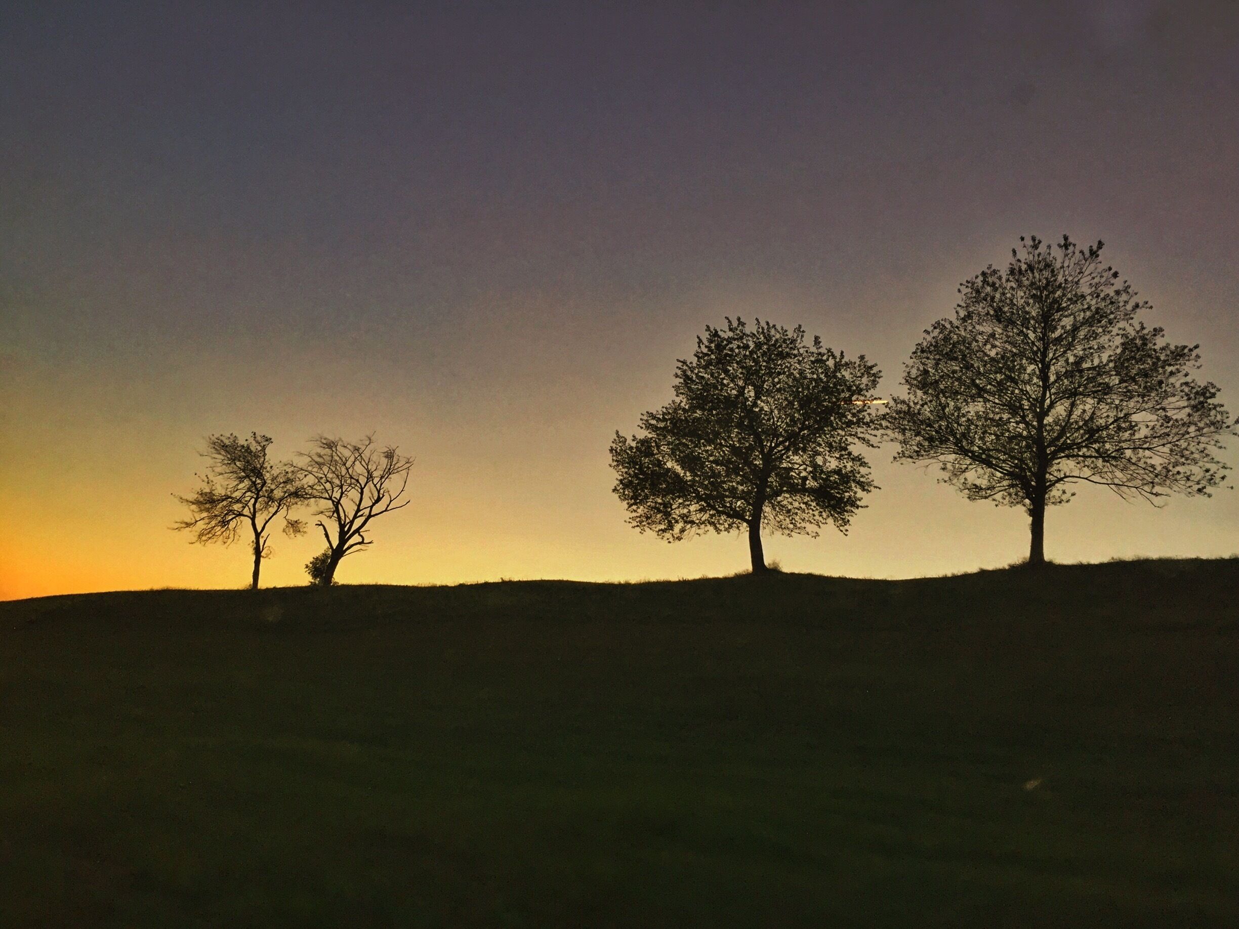 Last night on the way home. 