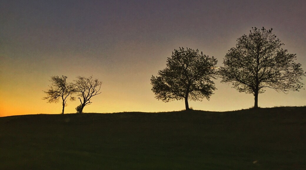 Last night on the way home.