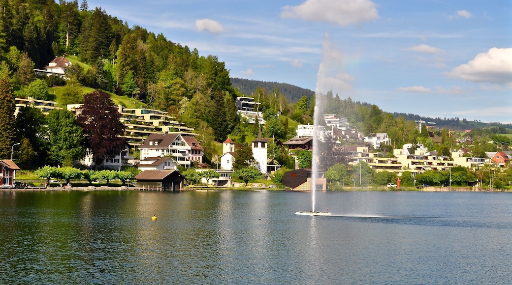 Dorf Unterägeri am Ägerisee mit Springbrunnen, Kanton Zug, Schweizer See