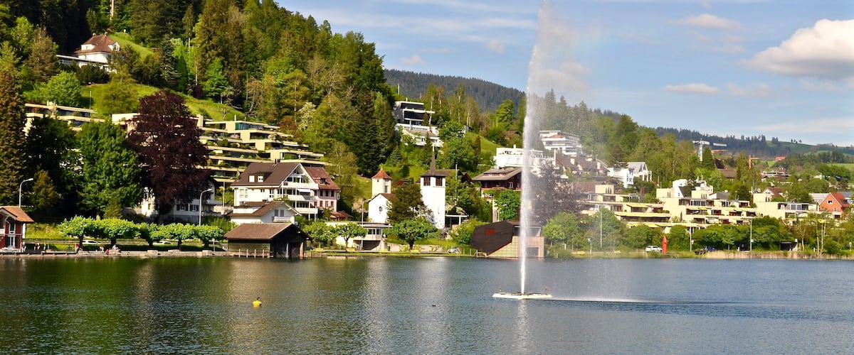 A lake with a fountain, surrounded by houses and trees.