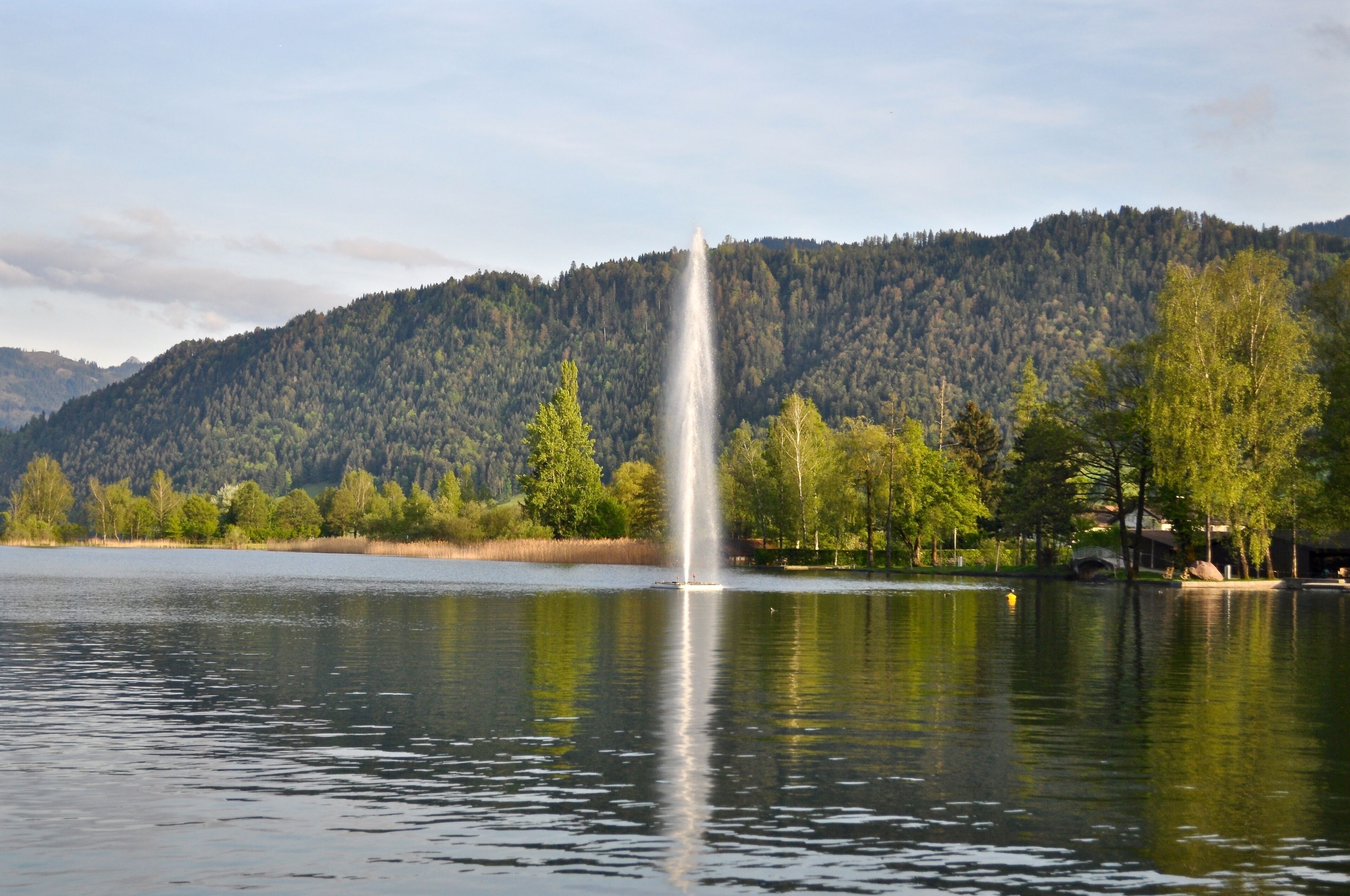 Ägerisee mit Springbrunnen und Birkenwald, Hintergrund der Wildspitz, Gemeinde Unterägeri im Kanton Zug, Schweiz