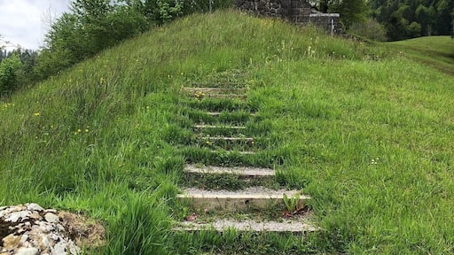 Walk up to the battle memorial and stand on the balcony for a nice view.