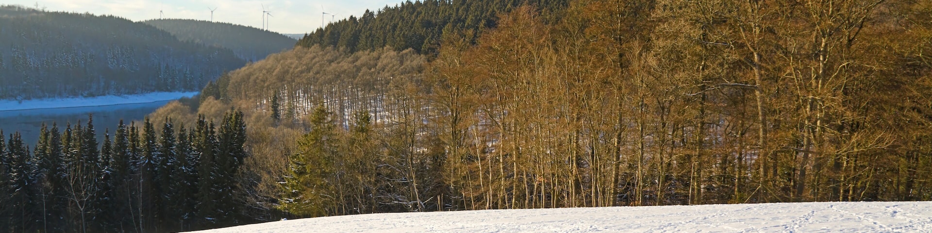 Winterlandschaft in der Eifel