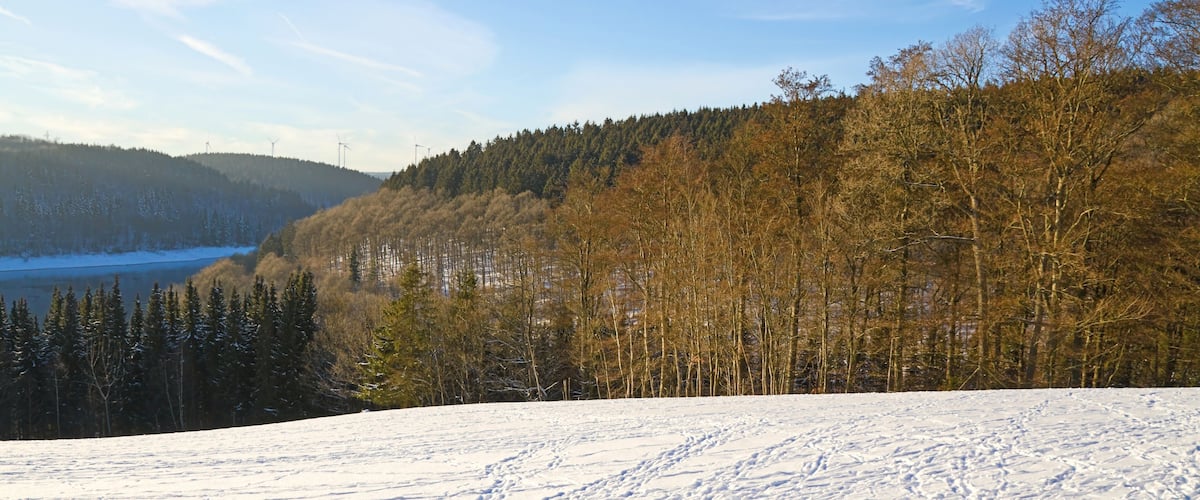 A snowy landscape with a forested hill and a body of water in the background.