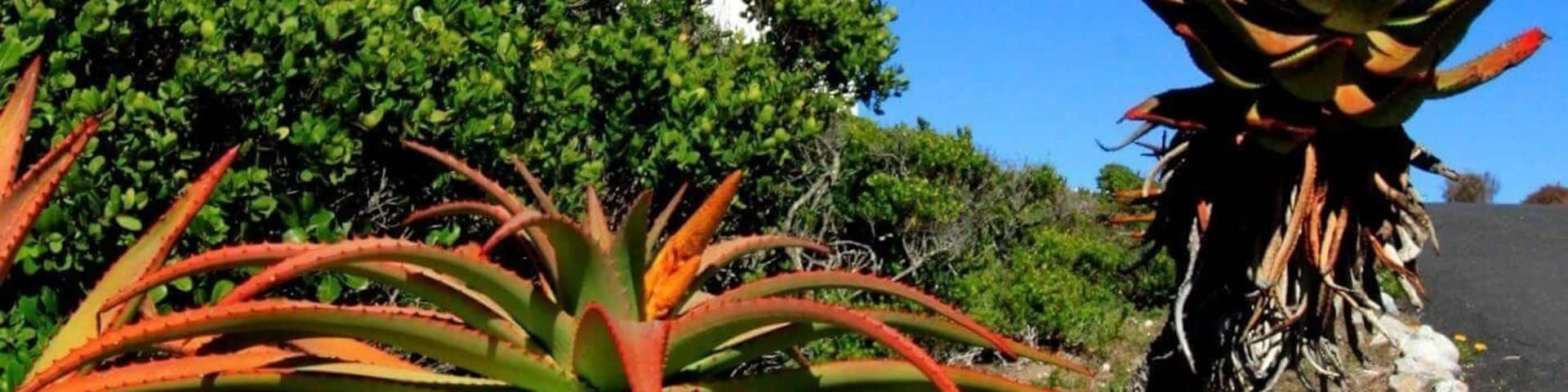 Danger Point Lighthouse near Struisbaai. HMS Birkenhead went down near here in the early 1800's and this was the first time "women and children off first" was implemented.