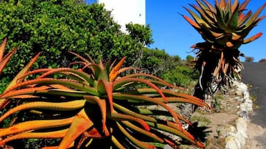 Danger Point Lighthouse near Struisbaai. HMS Birkenhead went down near here in the early 1800's and this was the first time "women and children off first" was implemented.