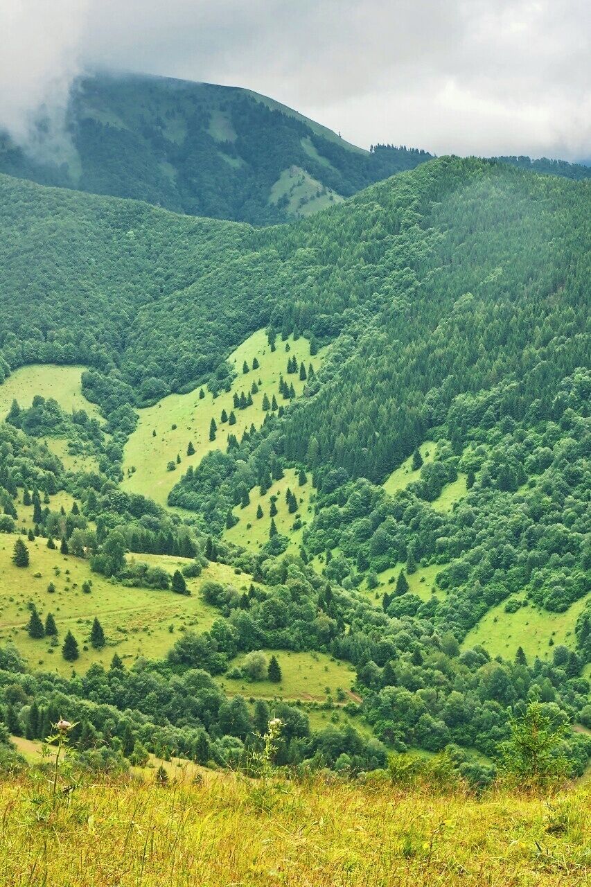 July 2014
Velká Fatra is part of West Carpathians in Slovakia and National park sice 2002. Highest peak are up to 1572 m, the mountains are forrested mainly with beech and sparsely with fir, spruce and pine. In higher parts there are ridge top cattle pastures from 15-17th century Walachian colonization. It is a popular hiking area, though not so much visited as other Slovakian mountains as Tatras or Malá Fatra. 
View of Magury ridge (1.200 m) on the hike from Revuce to Ploska peak (1.532 m). 