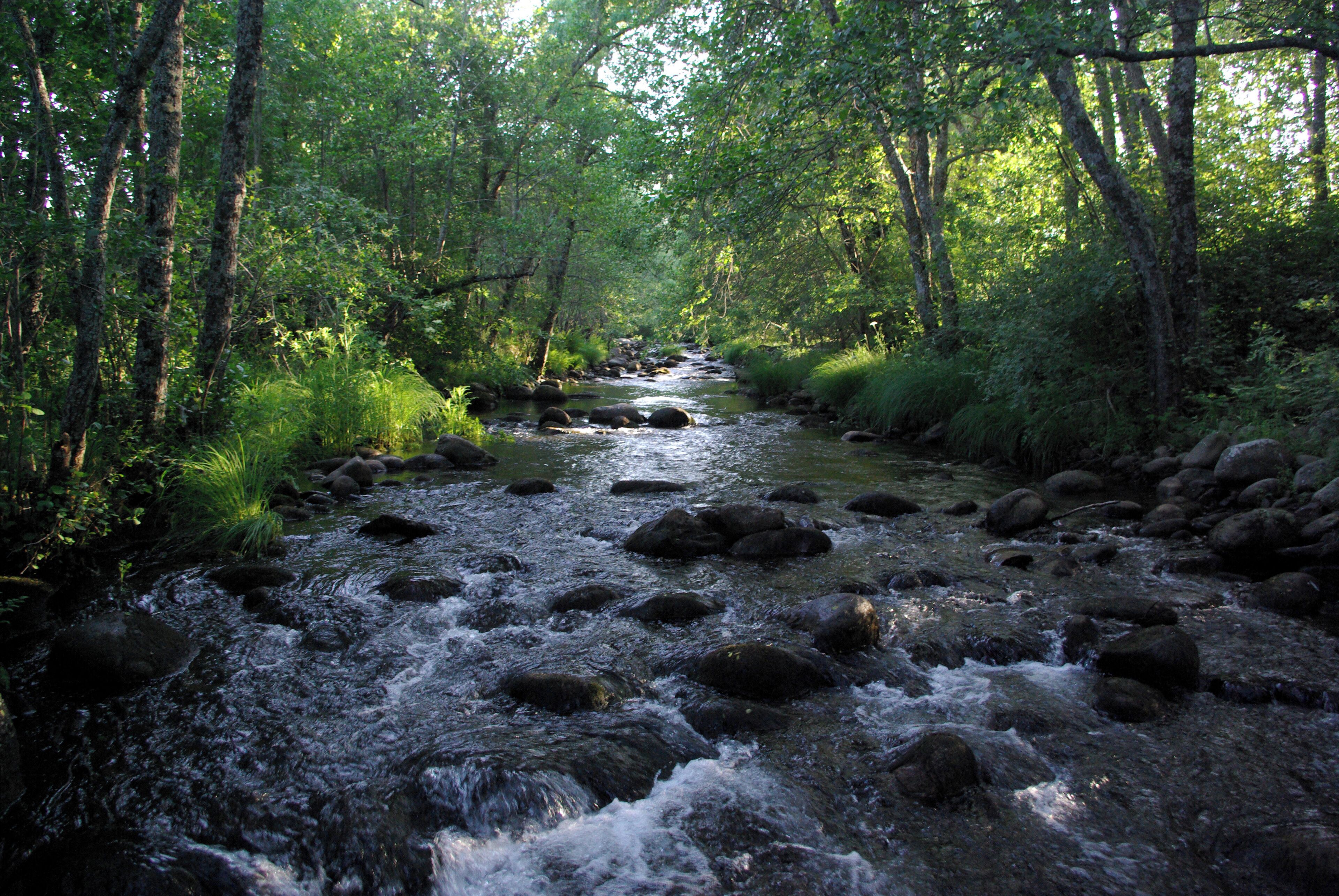 River Garganta de la Solana, Aravalle tributary, near Umbrías (Ávila, Spain)