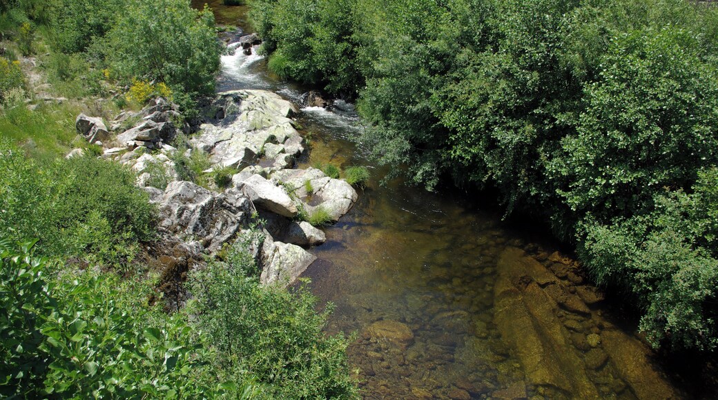 River Garganta de la Solana, Aravalle tributary, near Umbrías (Ávila, Spain)