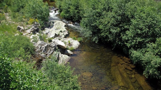 River Garganta de la Solana, Aravalle tributary, near Umbrías (Ávila, Spain)