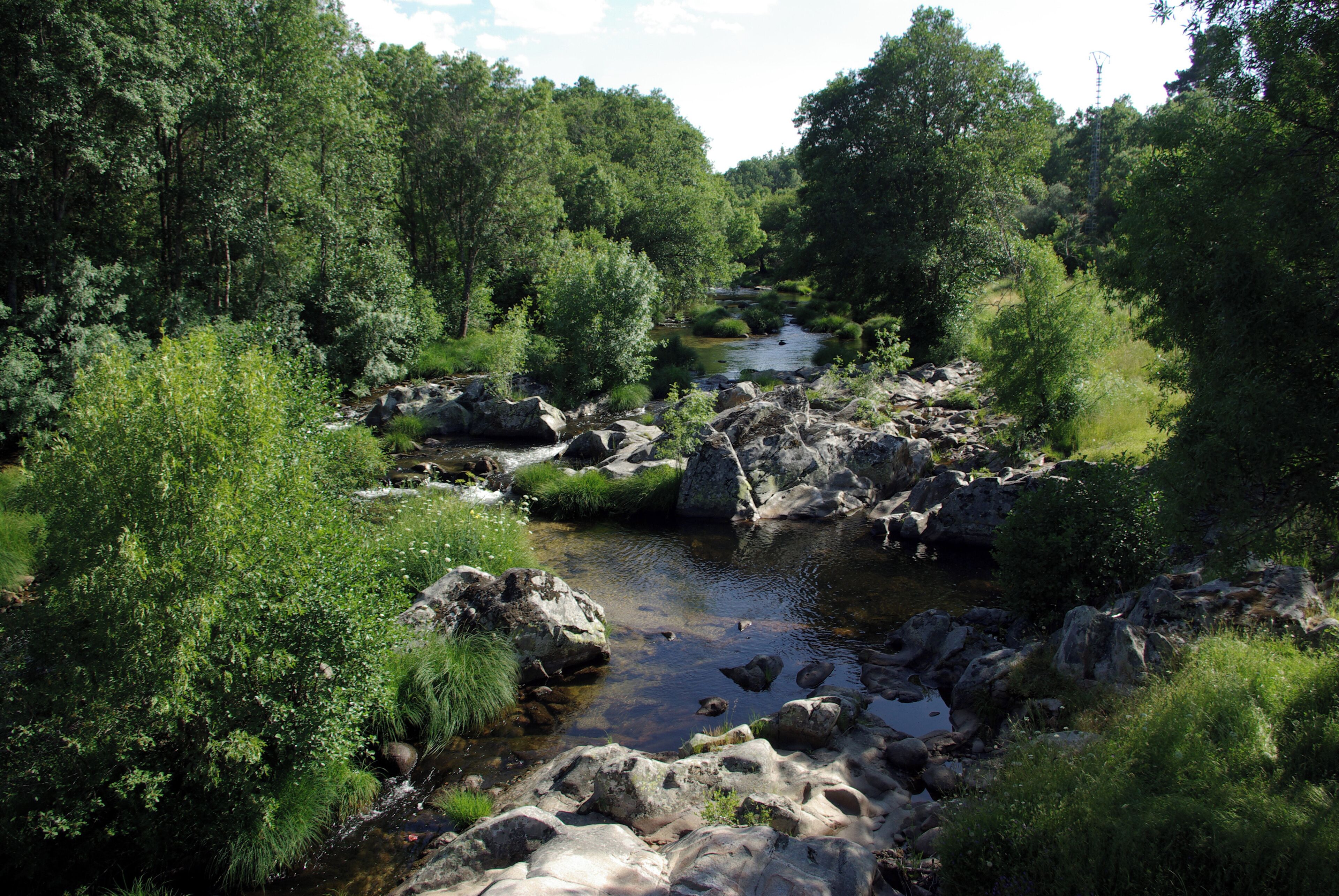 River Aravalle in La Canaleja, La Carrera (Ávila, Spain)