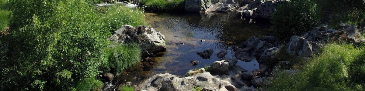River Aravalle in La Canaleja, La Carrera (Ávila, Spain)