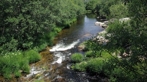 River Aravalle in La Canaleja, La Carrera (Ávila, Spain)