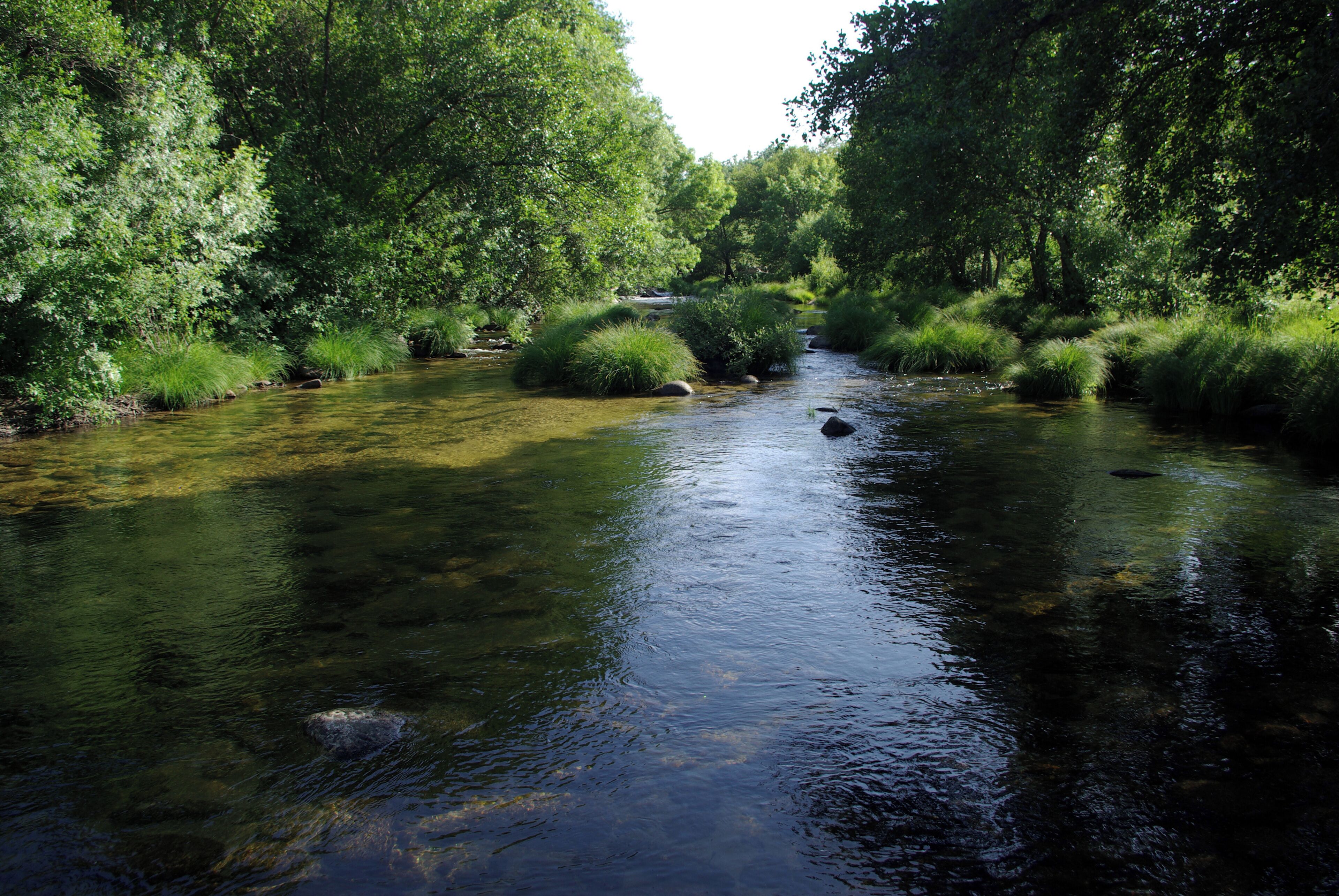 River Aravalle in La Canaleja, La Carrera (Ávila, Spain)