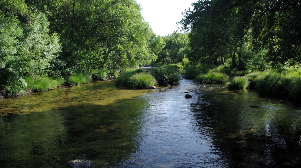 River Aravalle in La Canaleja, La Carrera (Ávila, Spain)