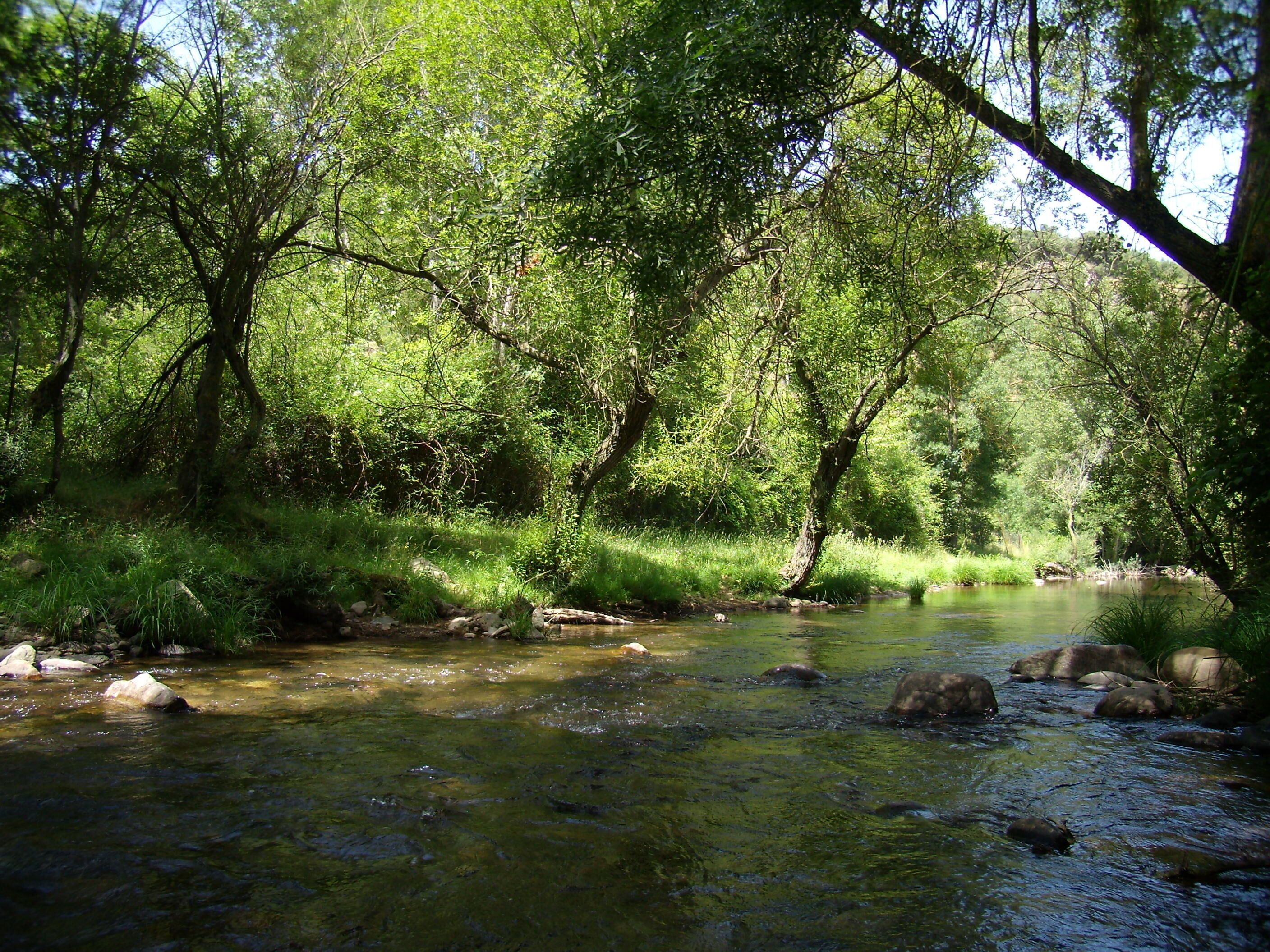 Vista del río Urbión a su paso por Viniegra de Abajo, La Rioja, España.