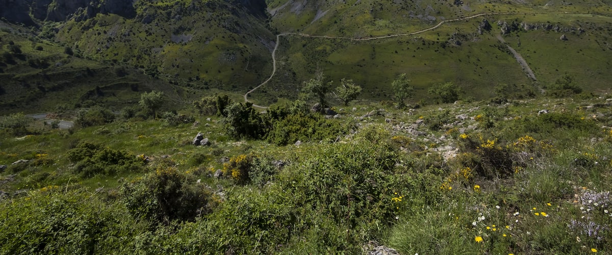 A mountainous landscape with a winding path.