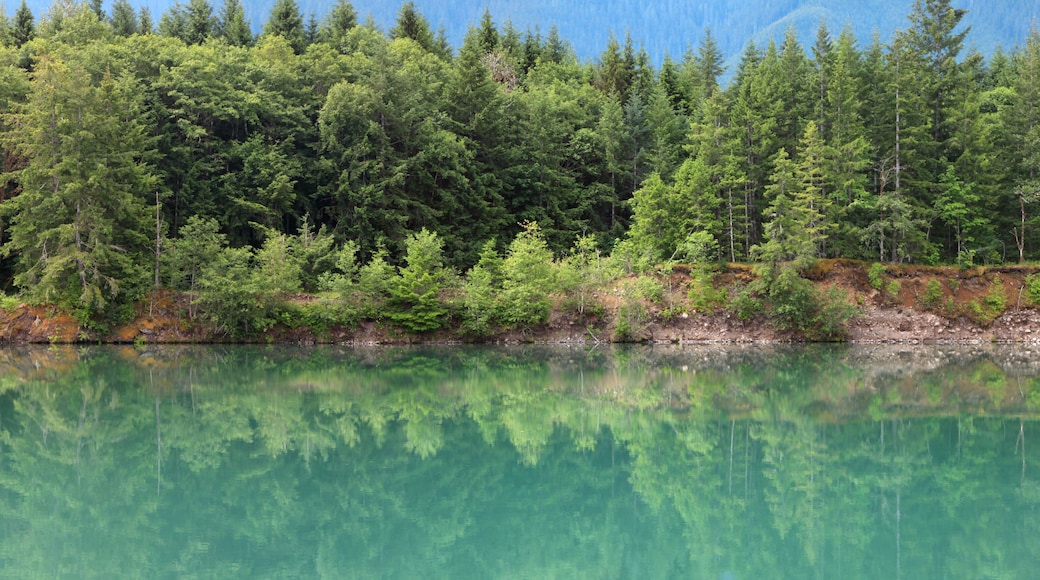 Riffe lake in Washington state