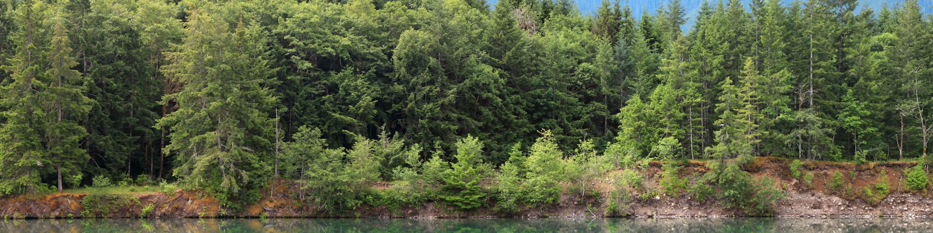 Riffe lake in Washington state