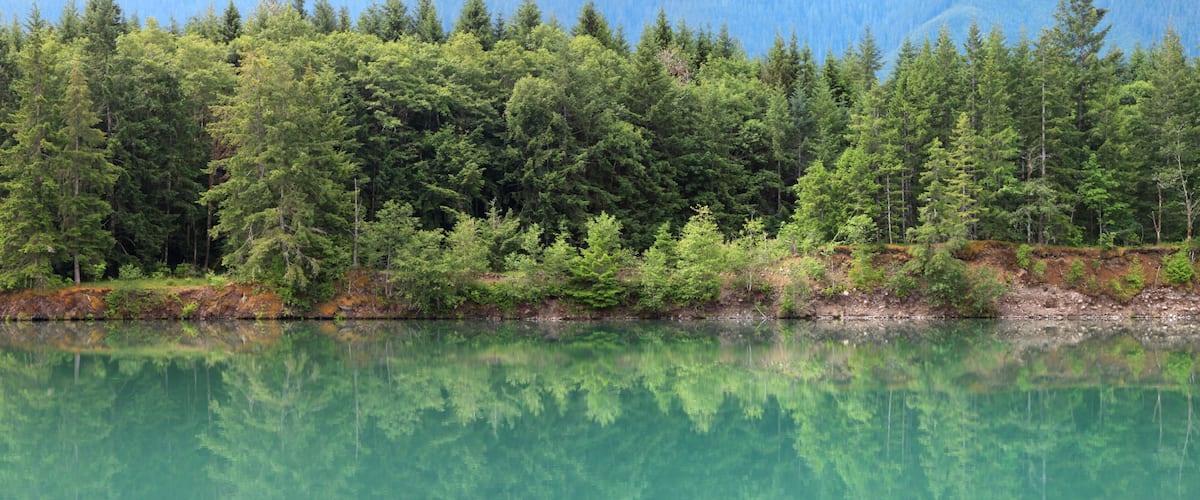 A clear lake surrounded by dense green forest and mountains in the background.