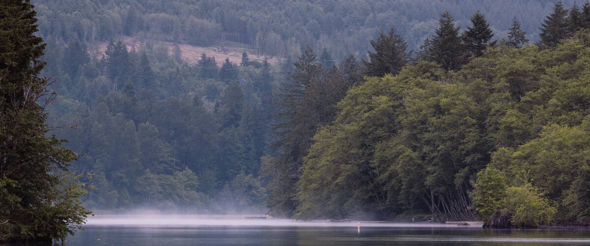 Foggy Morning on the lake