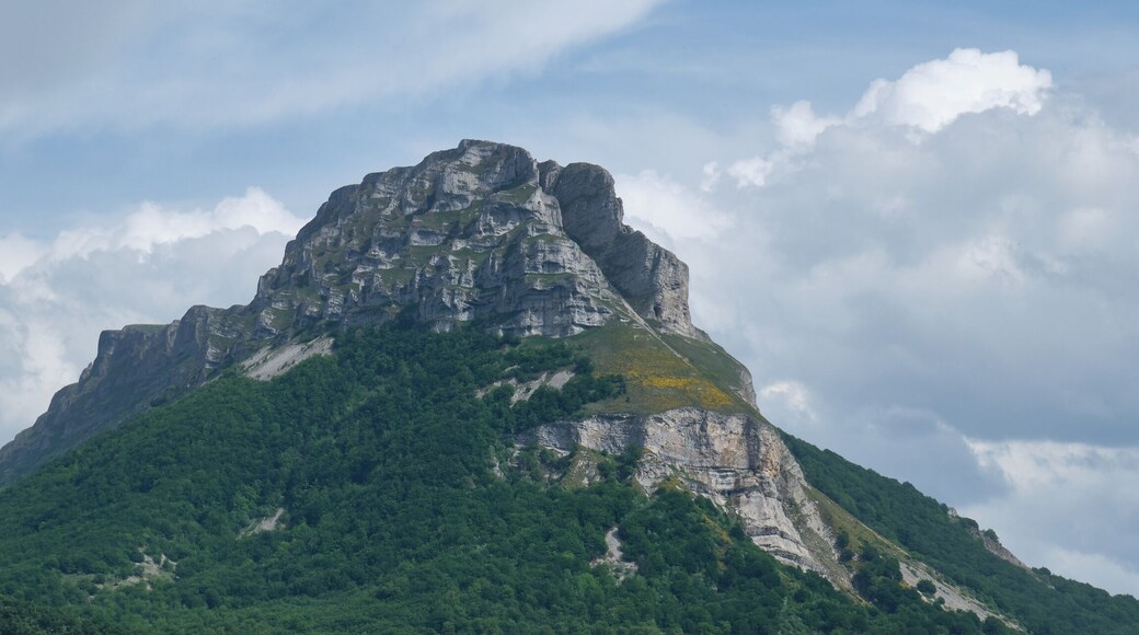 آميسكوا باخا