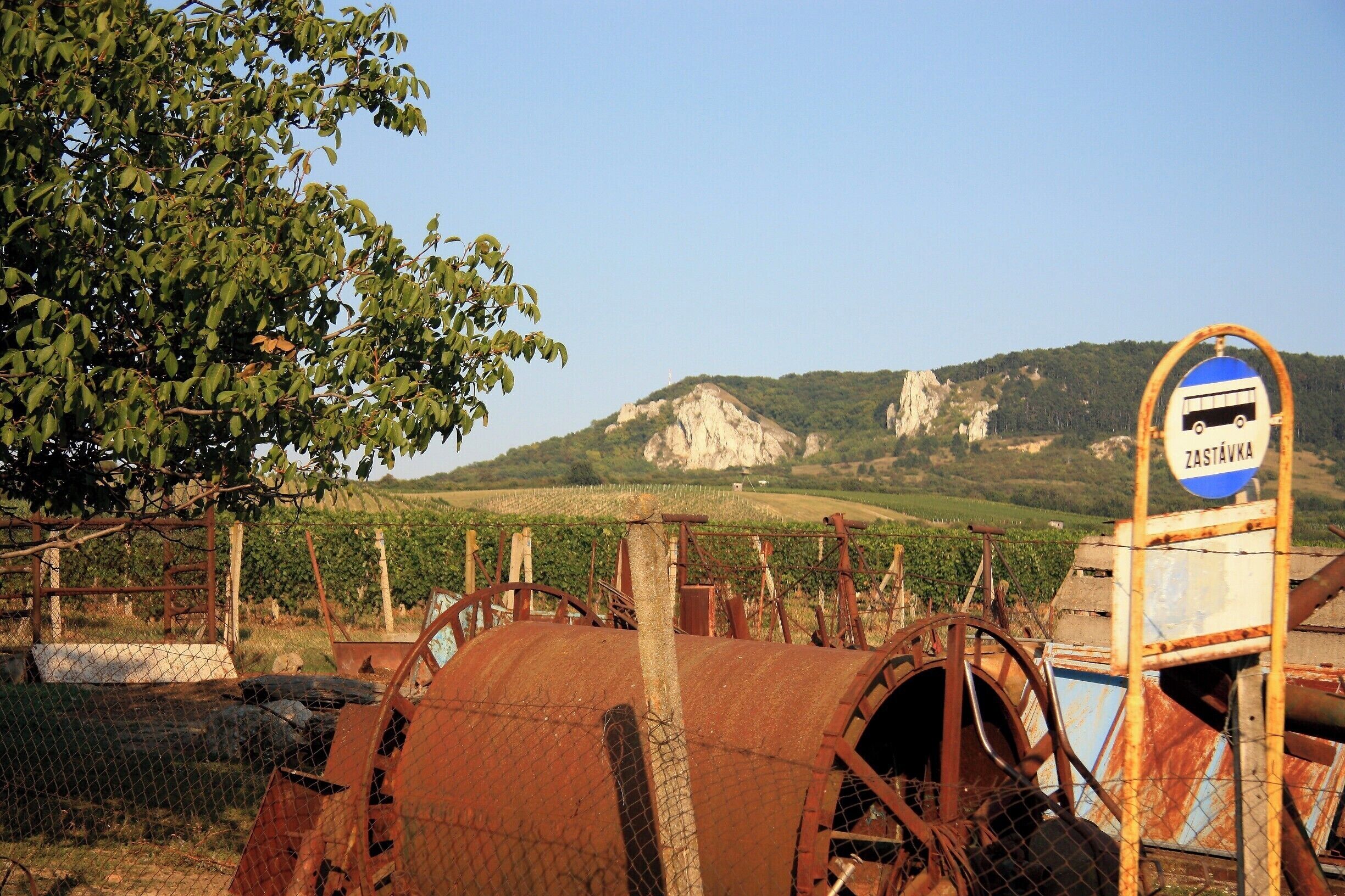 A rusty water wheel, a sign reading "ZASTAVKA," and a vineyard in the background.