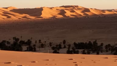 Avant d'aller se prélasser sur le sable près de la dernière palmarès, nous avons déguster un plat traditionnel a la viande, trop bon, mais trop gras qui a bien value le goble de thé qui a suivi, pour ceux qui ne sont pas habitué a le prendre corcer, il vous faut attendre le deuxième, il ne faut pas non plus demander le troisième, il est pour les enfants.