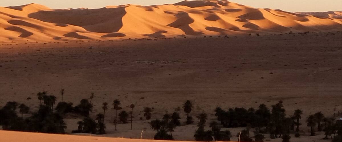 A desert landscape with sand dunes and sparse vegetation.