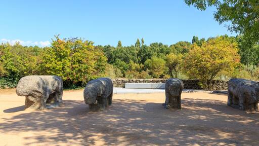 Photos of statues of Toros de Guisando taken in El Tiemblo Spain