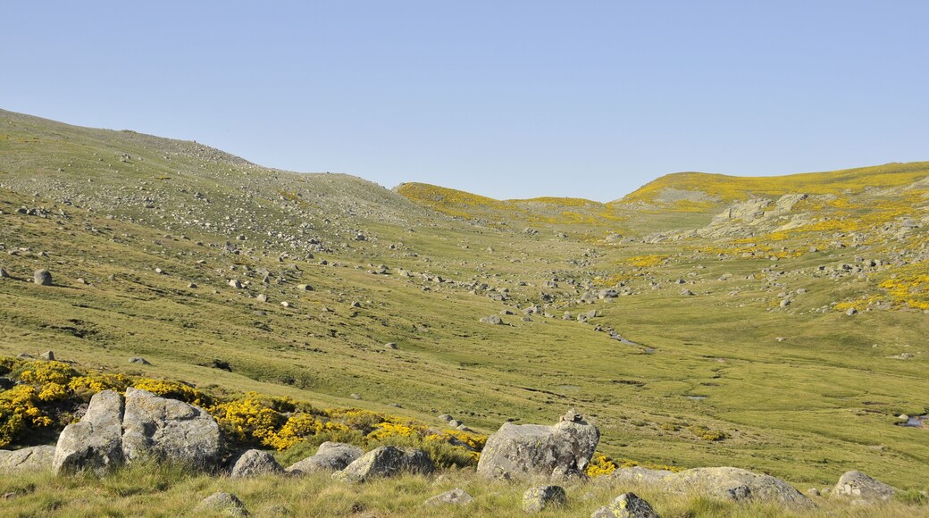HACIA EL PUERTO DE CANDELEDA