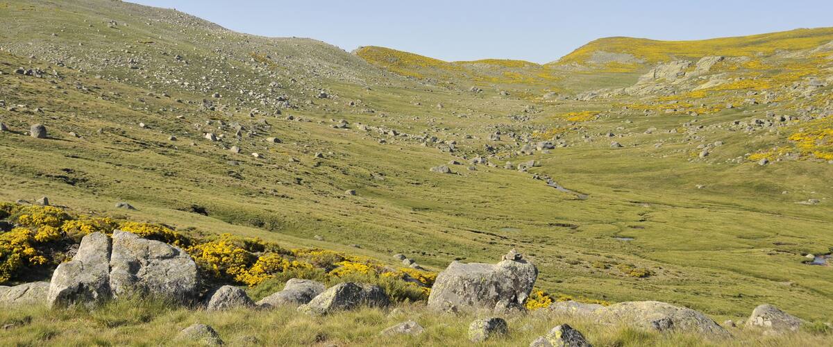 HACIA EL PUERTO DE CANDELEDA