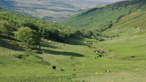 Fuente Berroqueña: River Adaja source. Near Villatoro (Ávila, Spain)
