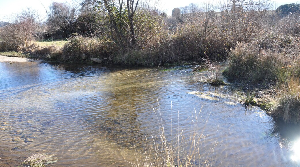 Río de la Hija, La Torre, Ávila, España.