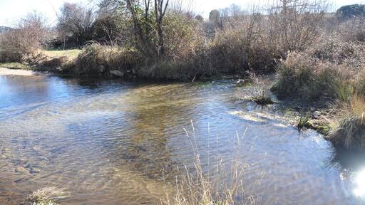 Río de la Hija, La Torre, Ávila, España.