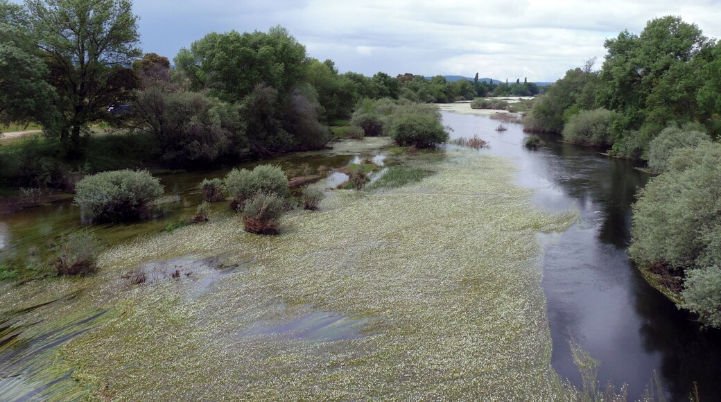 Tiétar River, Ávila, Castile and León, Spain.