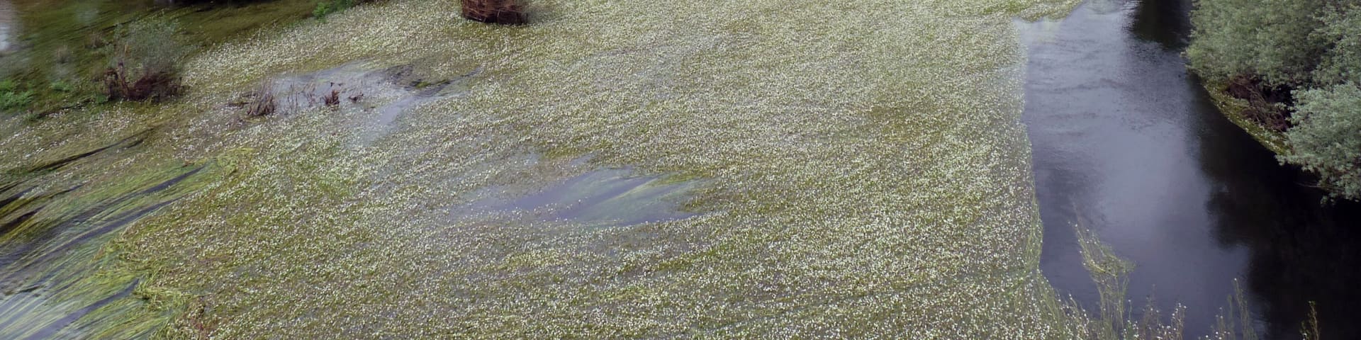 Tiétar River, Ávila, Castile and León, Spain.